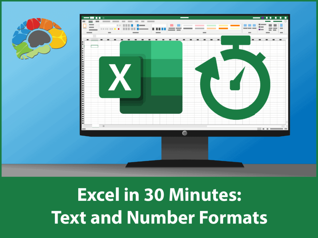 Excel in 30 Minutes: Text and Number Formats