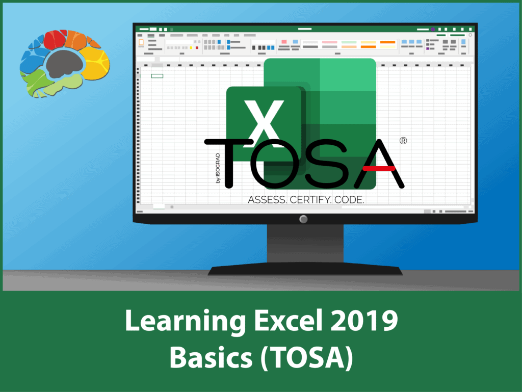 Learning Excel 2019 Basics (TOSA)