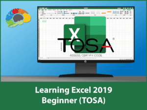 Learning Excel 2019 - Beginner (TOSA)