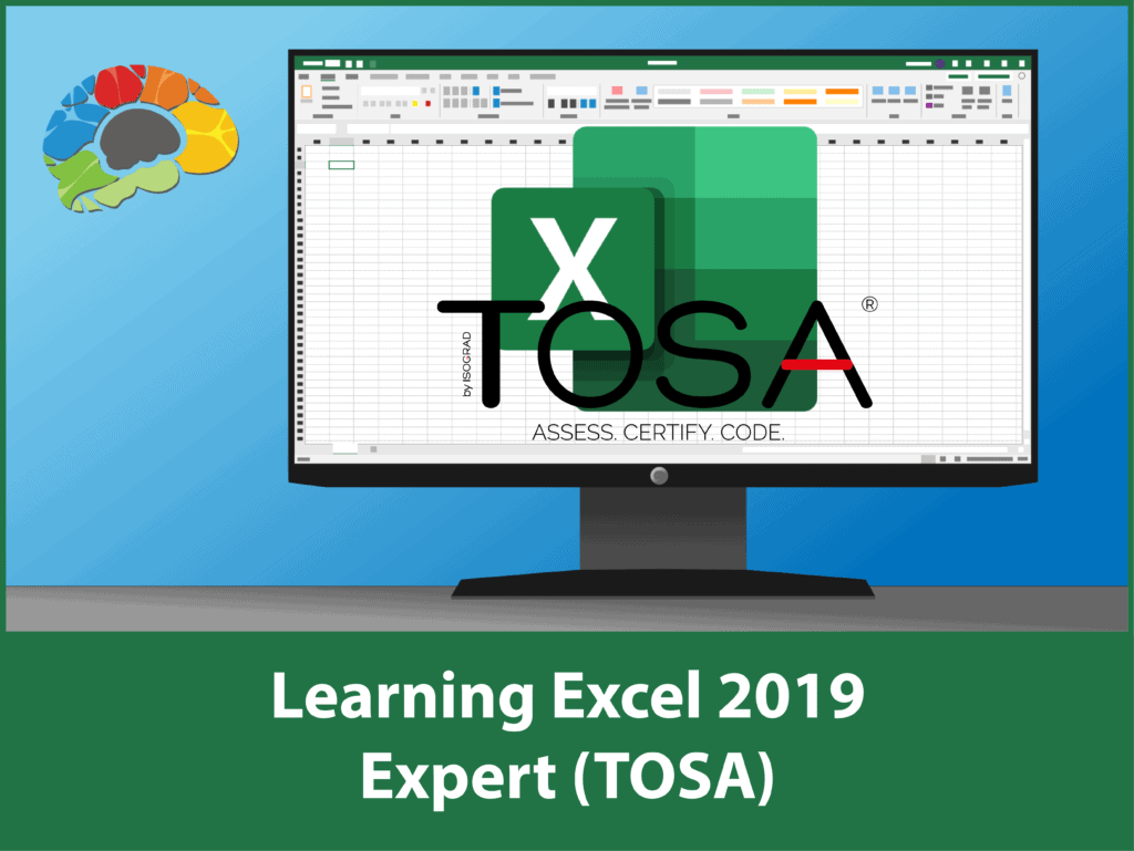 Learning Excel 2019 - Expert (TOSA)