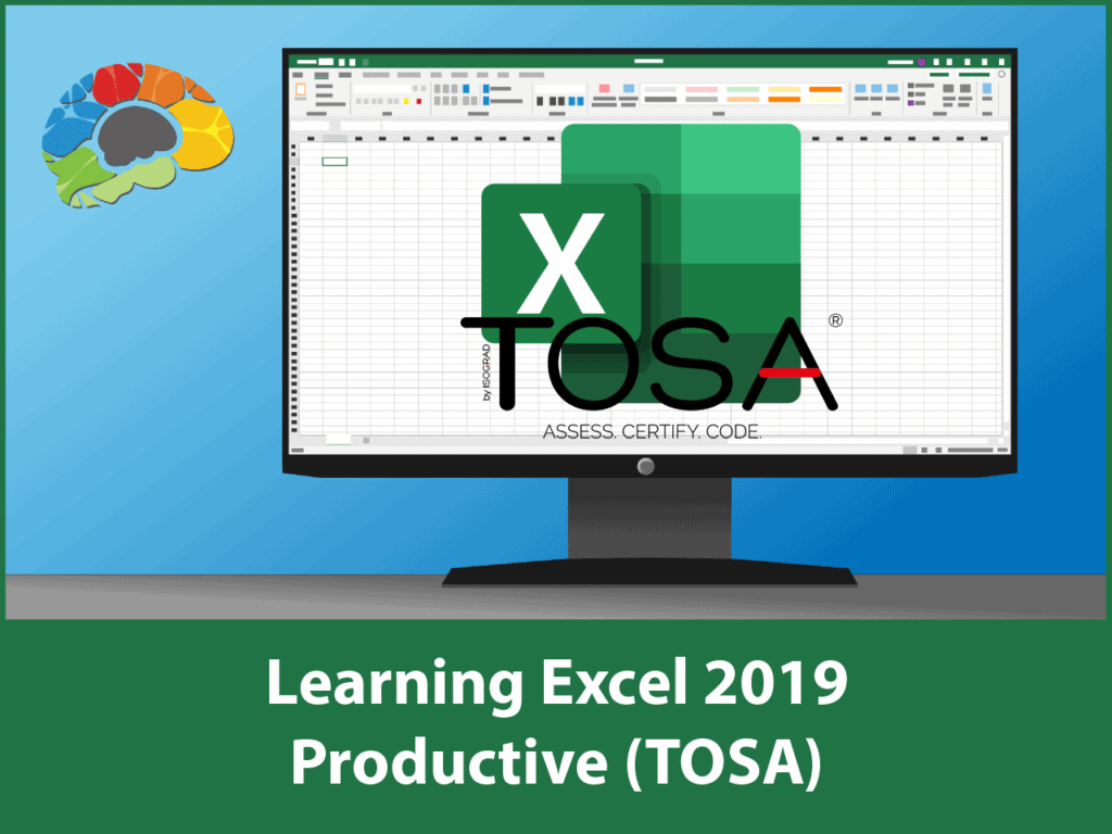 Learning Excel 2019 Productive (TOSA)