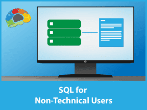 SQL for Non Technical Users