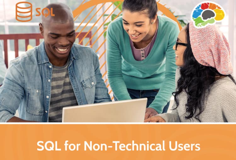 SQL for Non Technical Users