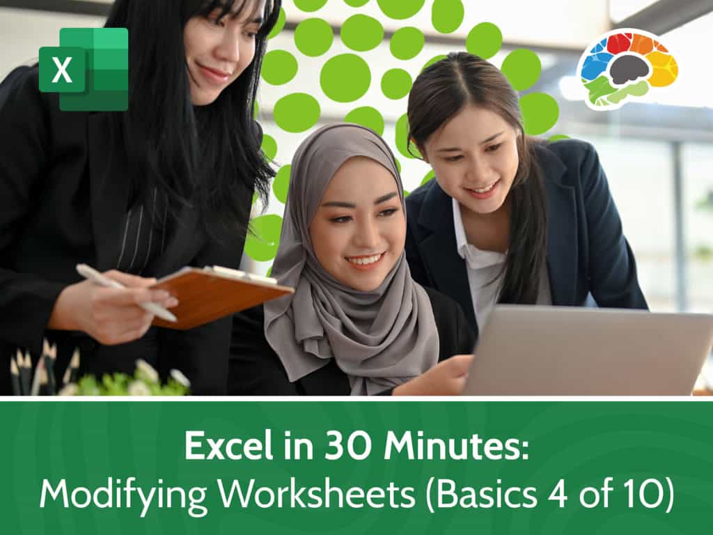 Excel in 30 Minutes Modifying Worksheets Basics 4 of 10