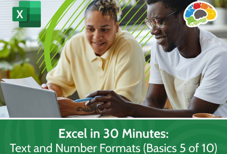 Excel in 30 Minutes Text and Number Formats Basics 5 of 10