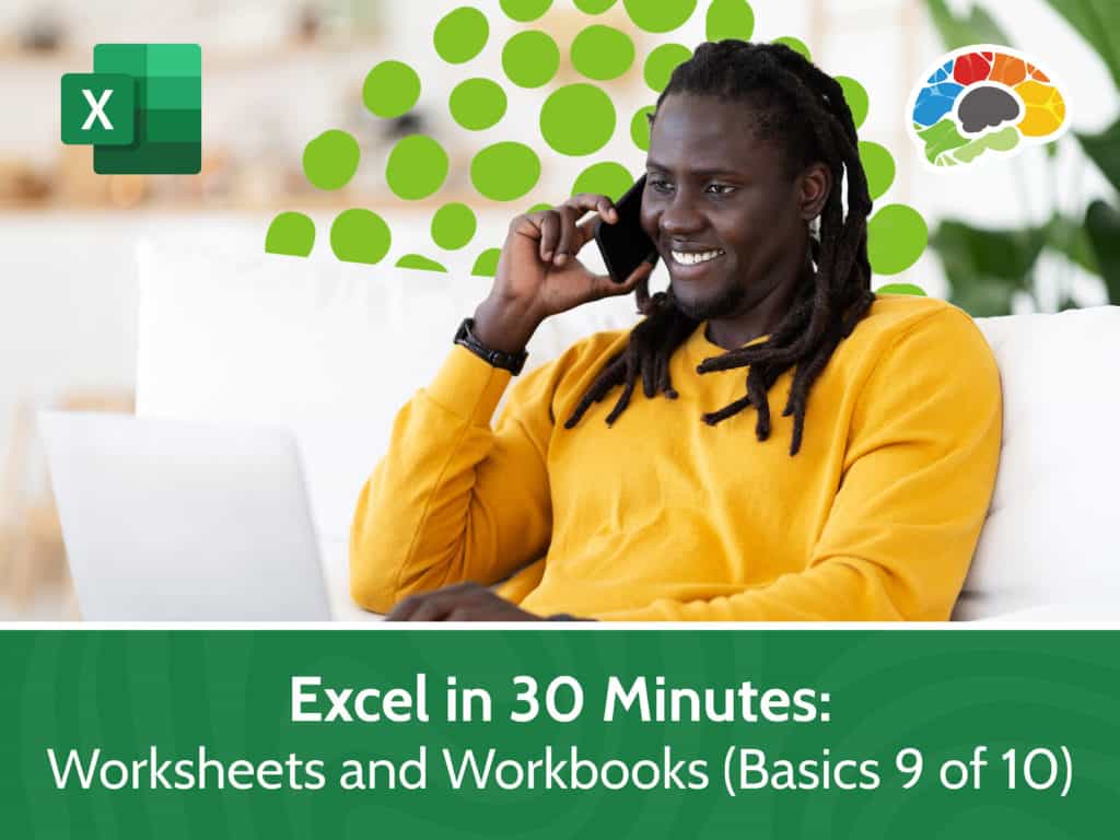 Excel in 30 Minutes Worksheets and Workbooks Basics 9 of 10