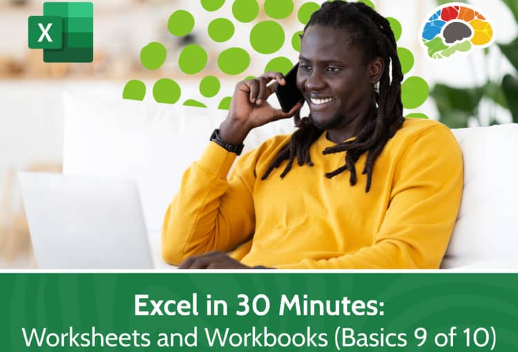 Excel in 30 Minutes Worksheets and Workbooks Basics 9 of 10