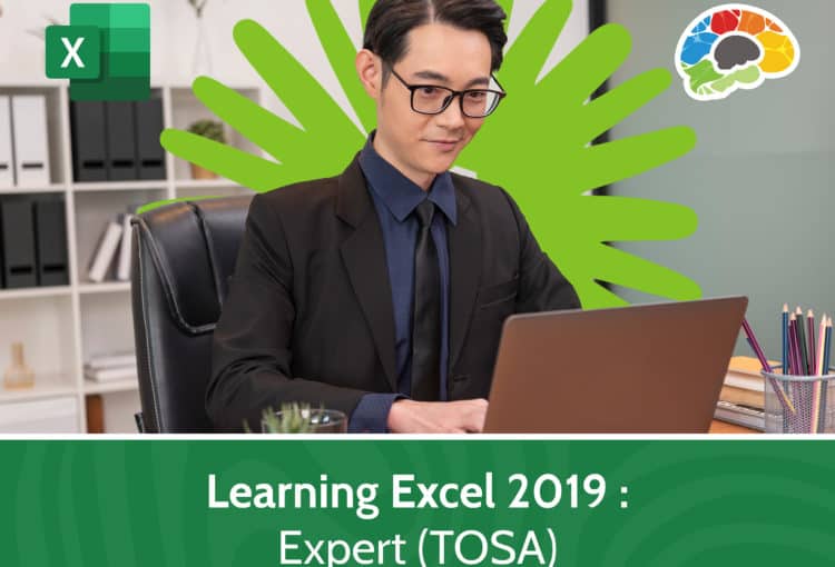 Learning Excel 2019 – Expert TOSA