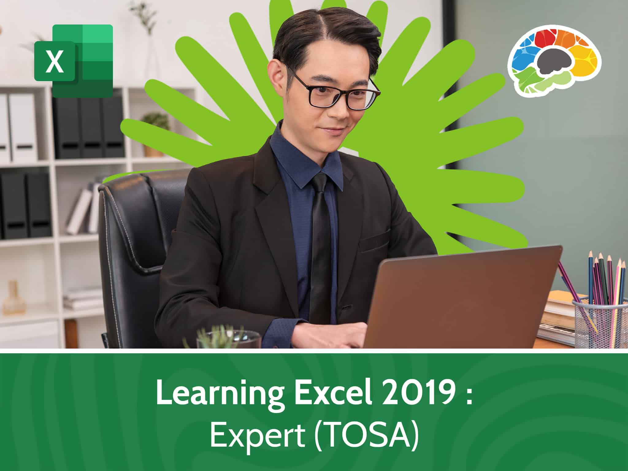 Learning Excel 2019 – Expert TOSA scaled