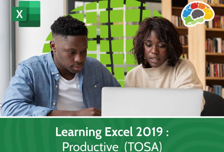 Learning Excel 2019 – Productive TOSA