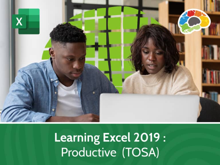 Learning Excel 2019 – Productive TOSA