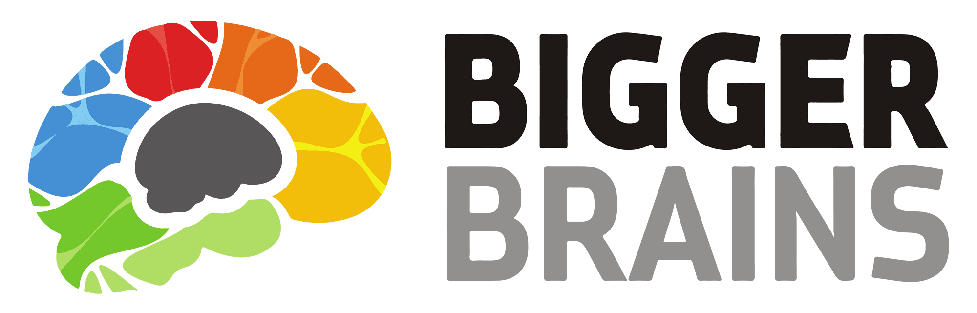eLearning - Bigger Brains Logo