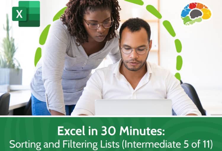 Excel in 30 Minutes Sorting and Filtering Lists Intermediate 5 of 11