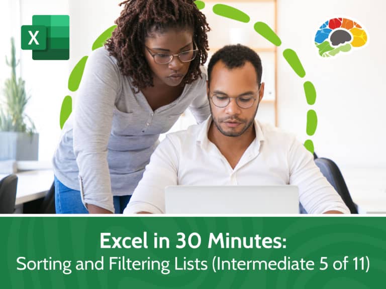 Excel in 30 Minutes Sorting and Filtering Lists Intermediate 5 of 11