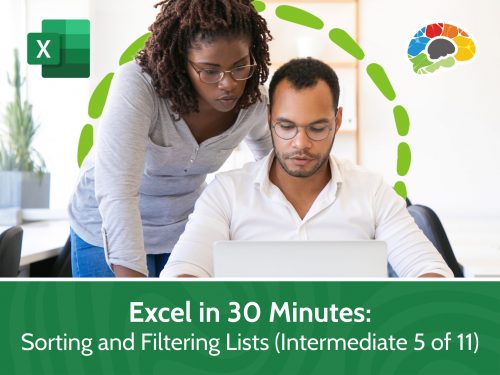Excel in 30 Minutes Sorting and Filtering Lists (Intermediate 5 of 11)