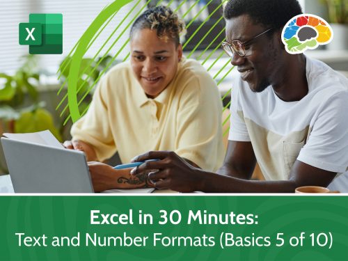 Excel in 30 Minutes Text and Number Formats (Basics 5 of 10)