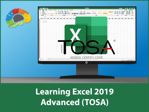 Learning Excel 2019 Advanced (TOSA)