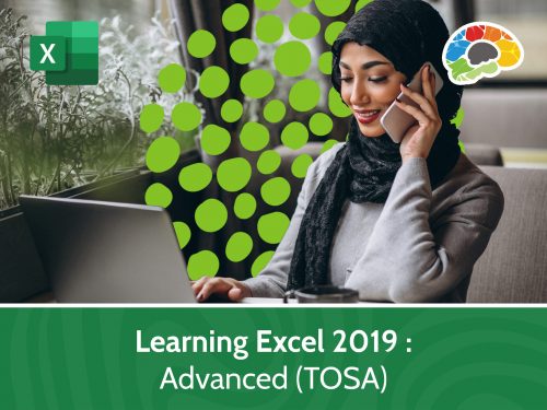 Learning Excel 2019 – Advanced (TOSA)