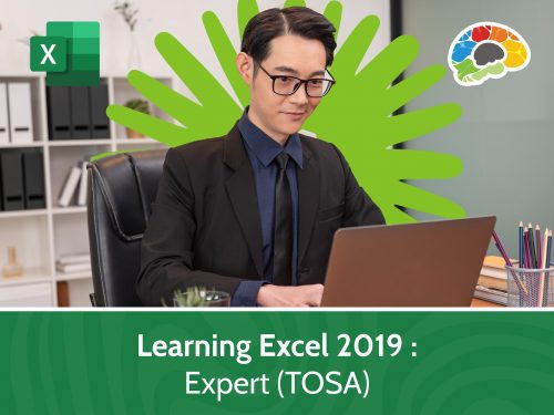 Learning Excel 2019 – Expert (TOSA)