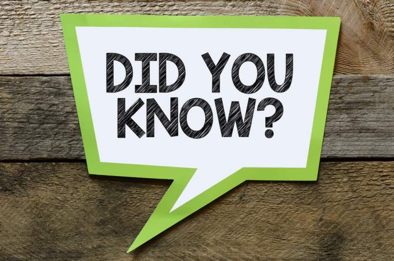 facts about BiggerBrains